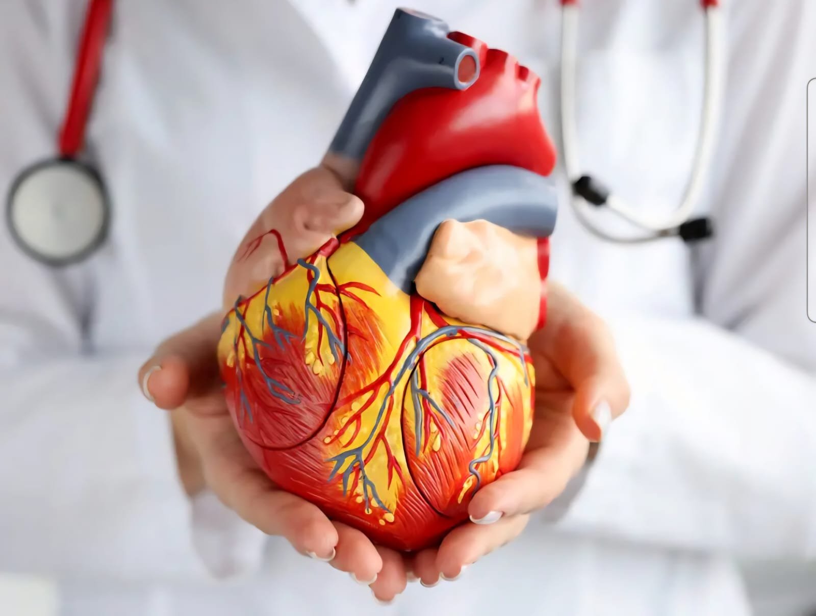 Consultation Cardiologique